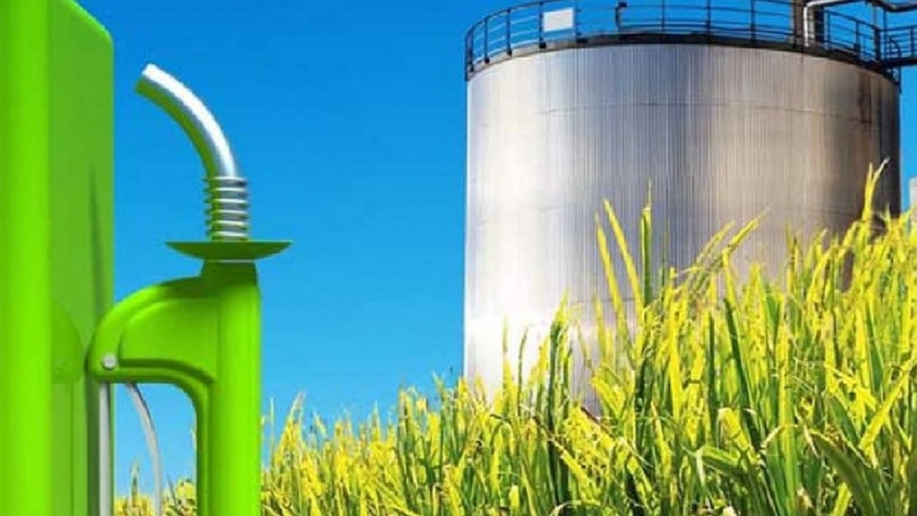 Los biocombustibles como generadores de más desarrollo, empleo, y tecnología