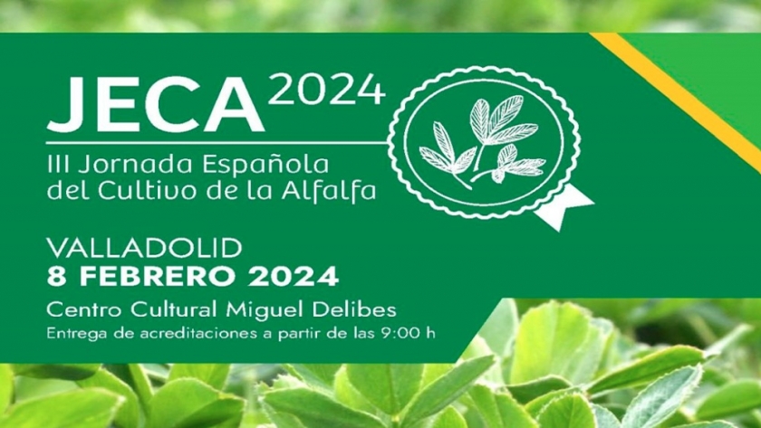 Castilla y León se convertirá el 8 de febrero en la capital mundial de la alfalfa