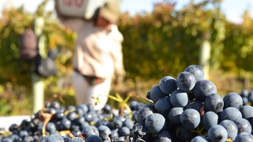 Bahillo y sector vitivinícola analizaron temas claves