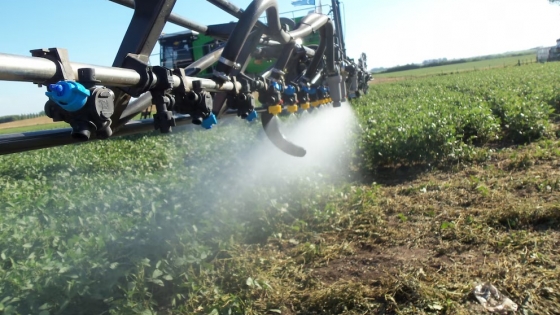 ¿Qué será del glifosato en un futuro cercano? La incertidumbre crece entre productores y mercados