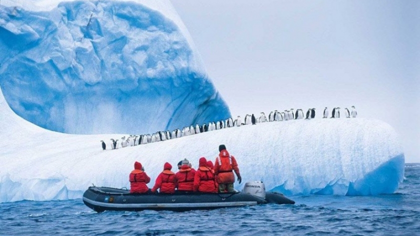 Turismo en la Antártida: viaje a la base científica argentina más visitada por los cruceros