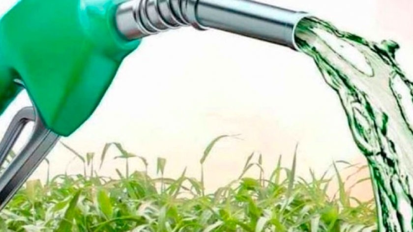 Los productores de bioetanol piden elevar el precio del producto