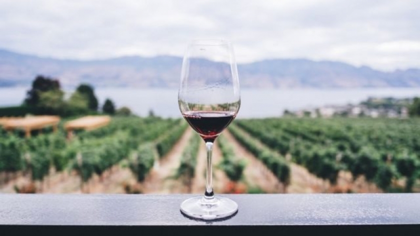 Coviar: buscan potenciar la vitivinicultura y enoturismo en el NOA