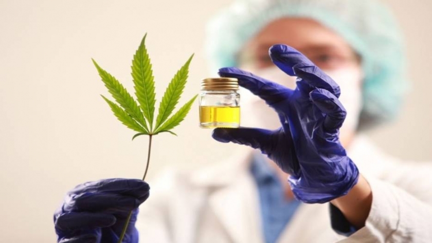 Cannabis, el nuevo objeto de estudio de la FAUBA 