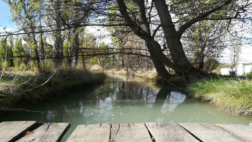 La compañía de riego comenzó con la distribución de agua en los canales del Valle Inferior del Río Chubut