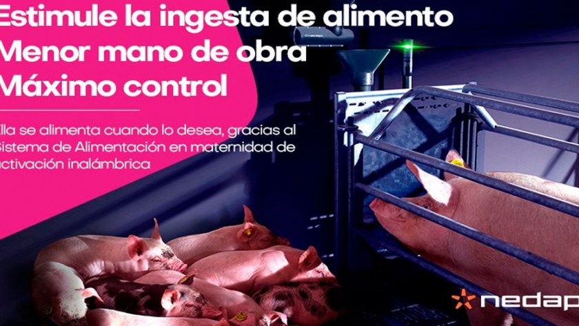 Nedap, la empresa líder en automatización agrícola