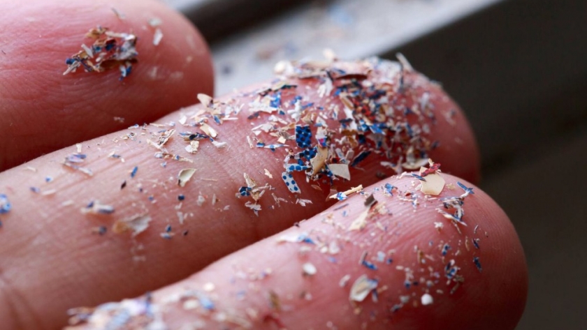 Investigadoras del INIDEP y del CONICET brindaron una charla sobre microplásticos a estudiantes de San Clemente del Tuyú