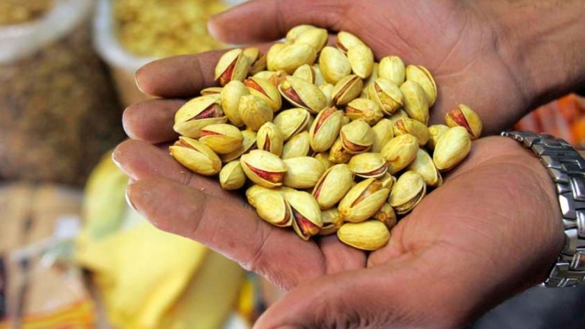 Pistacho, cómo funciona el negocio que promete salvar a los productores locales
