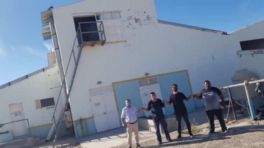 Otro sueño en marcha para exportar carne ovina a Emiratos Árabes: Reabrirán el frigorífico de Ingeniero Jacobacci