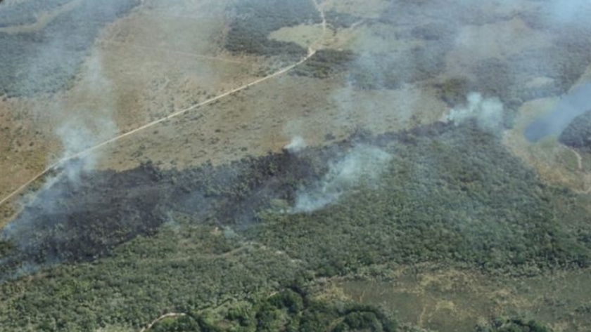 Detección y respuesta ante incendios: el gobierno confecciona mapas de focos de calor