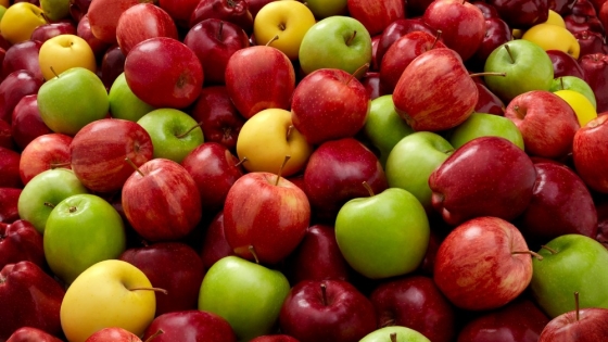 <La producción de manzanas en China ha aumentado en 2023: ¿será suficiente para reducir la tensión en el mercado mundial de manzanas frescas?
