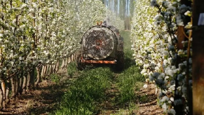 Productores ya pueden acceder a créditos para la compra de agroinsumos