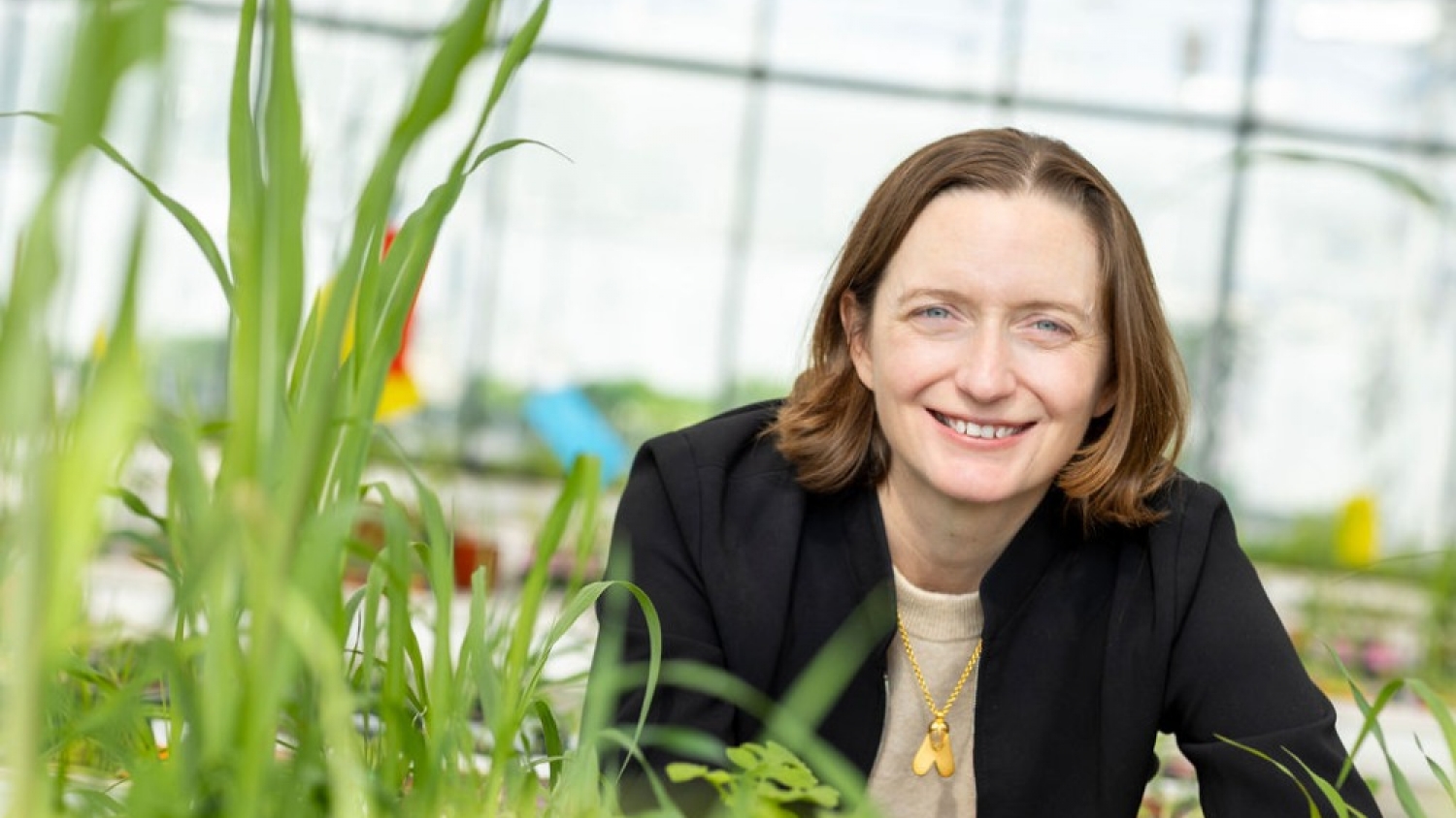 Moa Technology raises $30 million to fight herbicide-resistant weeds
