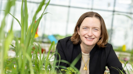 Moa Technology raises $30 million to fight herbicide-resistant weeds