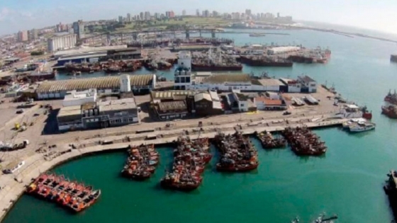 Puerto de Mar del Plata: solo puede aprovechar el 30% de su potencial exportador