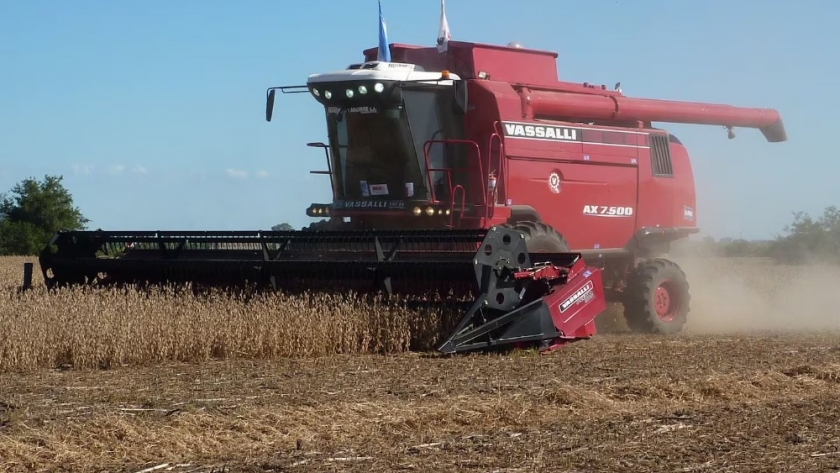 Crece el financiamiento bancario en dólares al sector agropecuario en 2024
