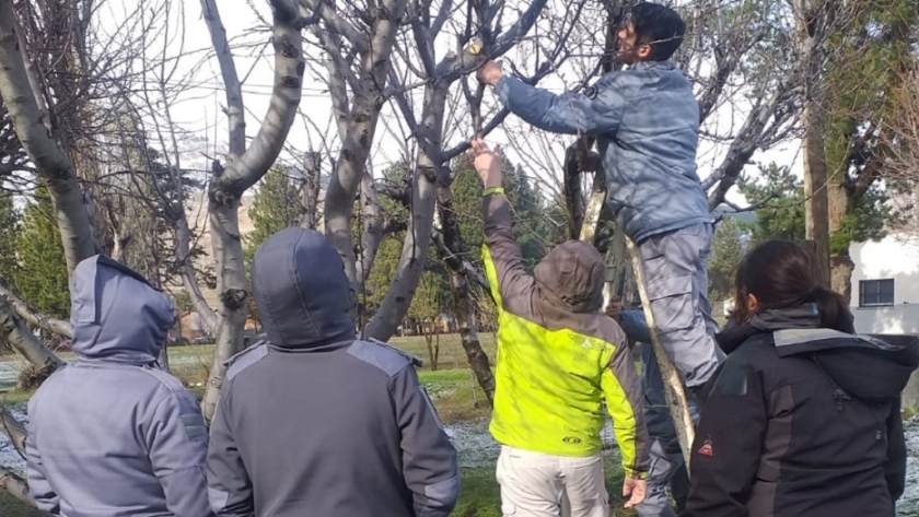 El Ministerio de Agricultura realizó una jornada de poda de frutales en Esquel