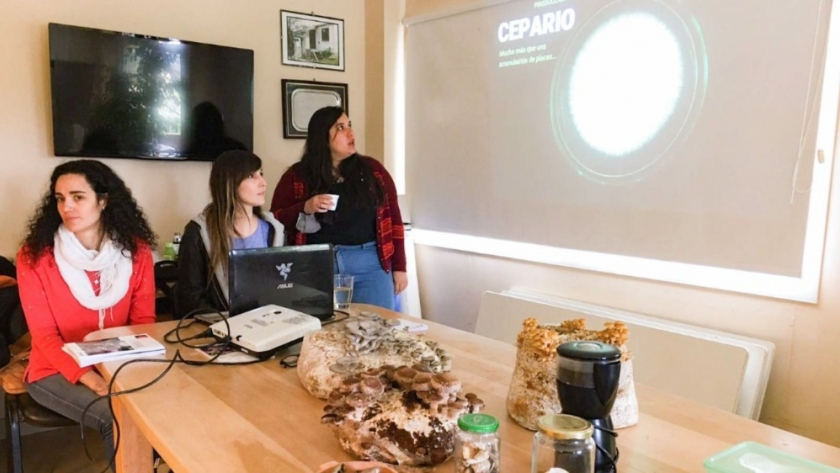 Producción y Ambiente dio inicio a las jornadas de producción y oferta gastronómica de Hongos Cultivados