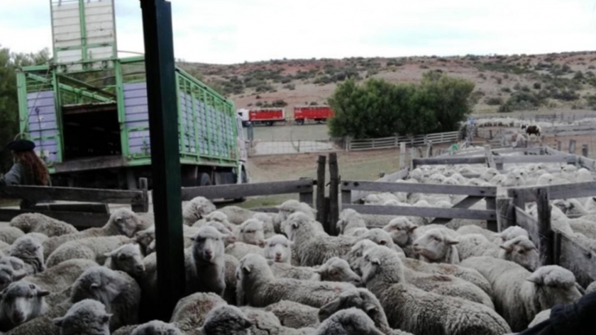 Provincia avanza en las gestiones para actualizar el Programa de reconocimiento de Marcas y Señales de Chubut
