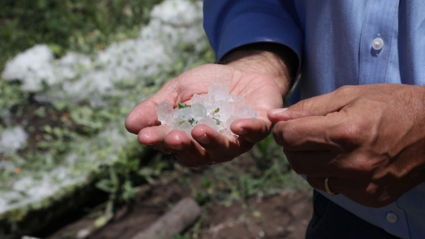 Mendoza pone a disposición créditos para productores afectados por granizo