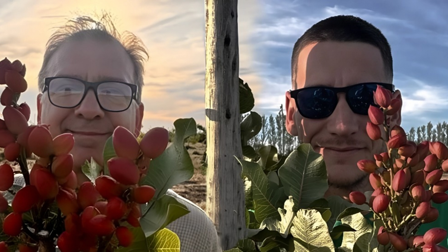 Apostaron a un cultivo no tradicional y hoy construyen un nuevo negocio exportador en La Pampa