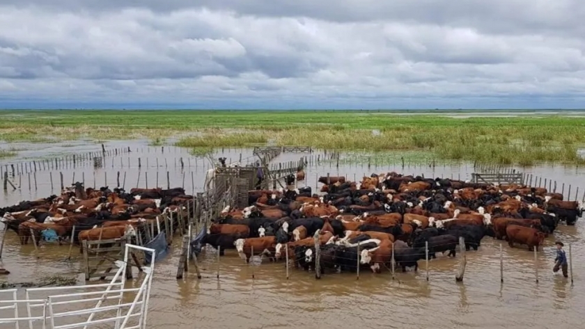 Eventos climáticos extremos afectarían en verano la producción agropecuaria