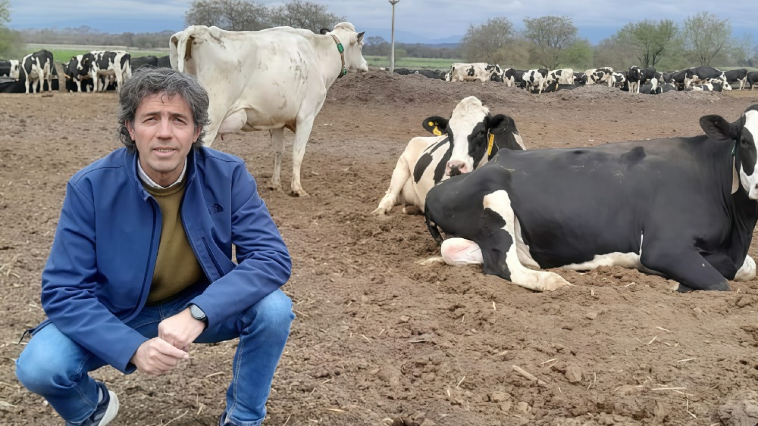 De tambo a carnicería: el modelo multifunción de un empresario