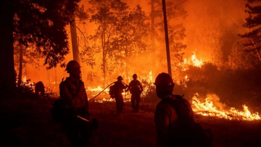 Avances del Comité de Emergencia Ambiental por los incendios en el delta del Paraná