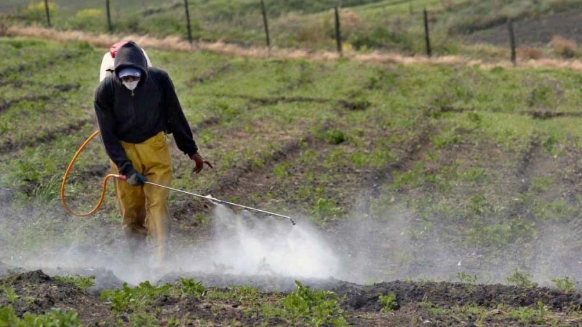 Economía invita a participar en charla sobre manejo de residuos pesticidas en campo