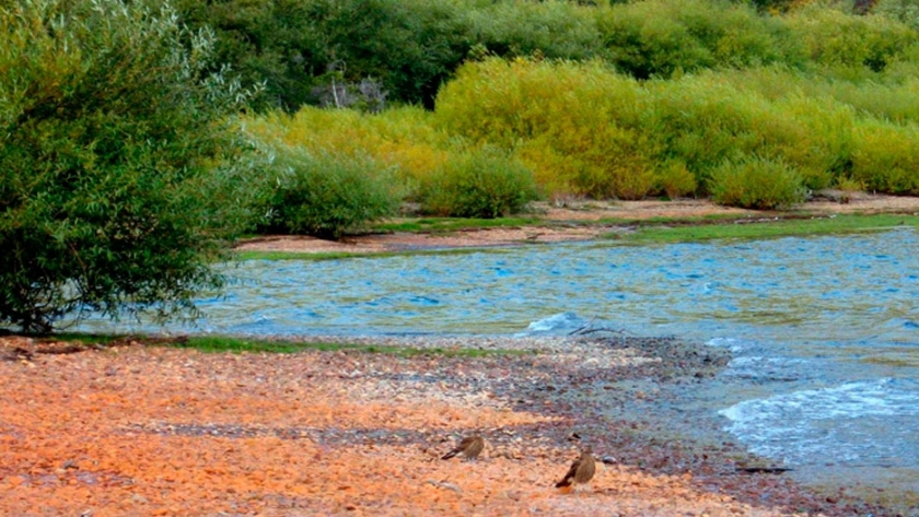 Parque Nacional Lago Puelo