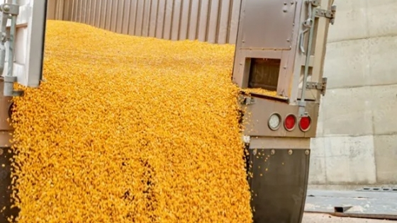 Alerta por el costo de llevar granos al puerto: hasta el 32% de un camión de maíz se lo lleva el flete y habrá 