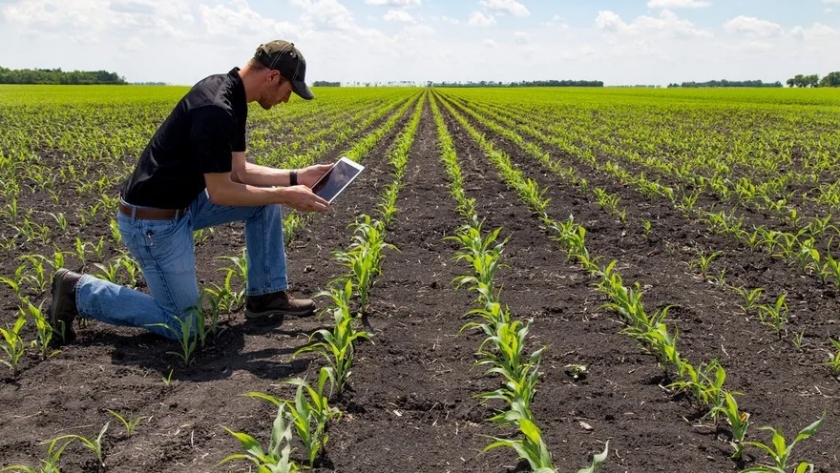 AgTech: por qué es clave la experiencia del usuario