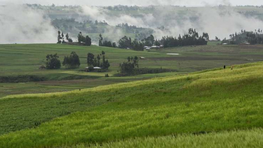El conocimiento de los agricultores es clave para encontrar cultivos más resistentes en la crisis climática