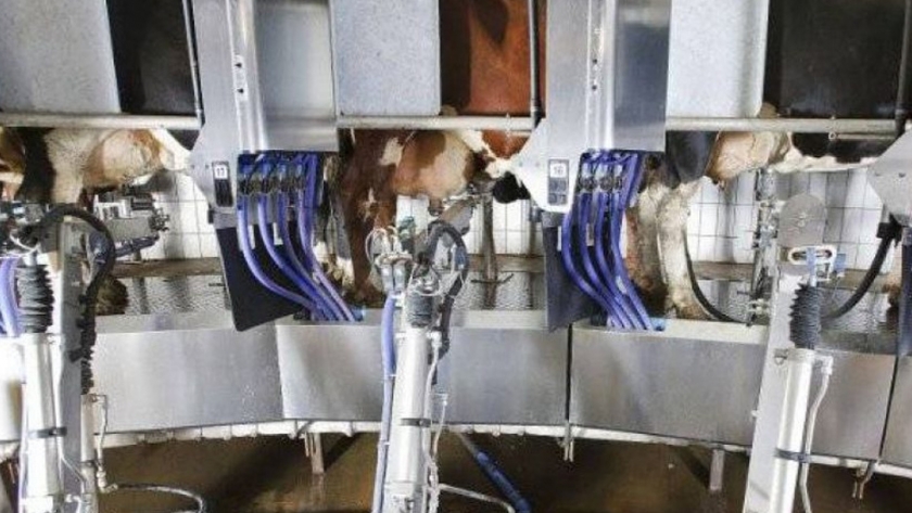 La Provincia posibilita reuniones de negocios entre fabricantes de equipamientos para la cadena láctea y empresas colombianas