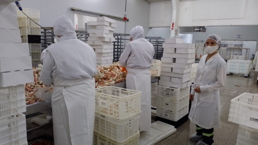 Puerto San Julián: Primera exportación a Estados Unidos de centolla para consumo directo