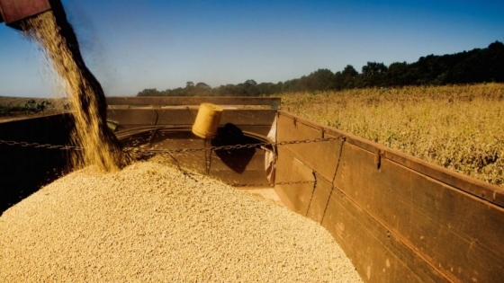 Informe del USDA: Producción de soja en Brasil disminuye mientras Argentina impulsa la producción de maíz