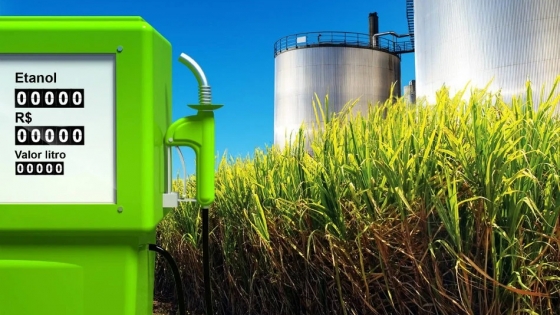 El etanol en la Argentina: eficiencia productiva, límites regulatorios y un potencial aún sin desplegar