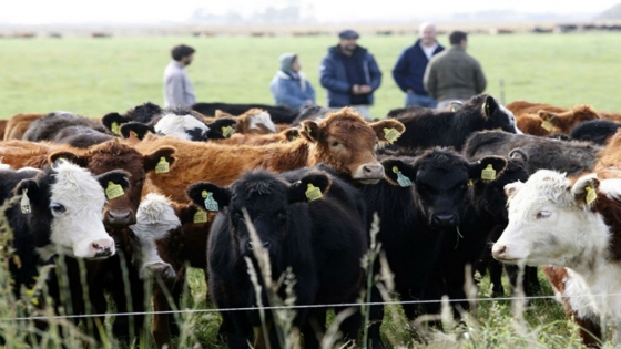 Impulsan una hoja de ruta para transformar la ganadería argentina con foco en productividad y sustentabilidad