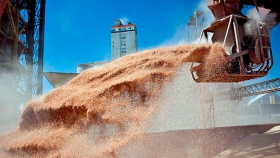 Siguen creciendo las exportaciones agroindustriales
