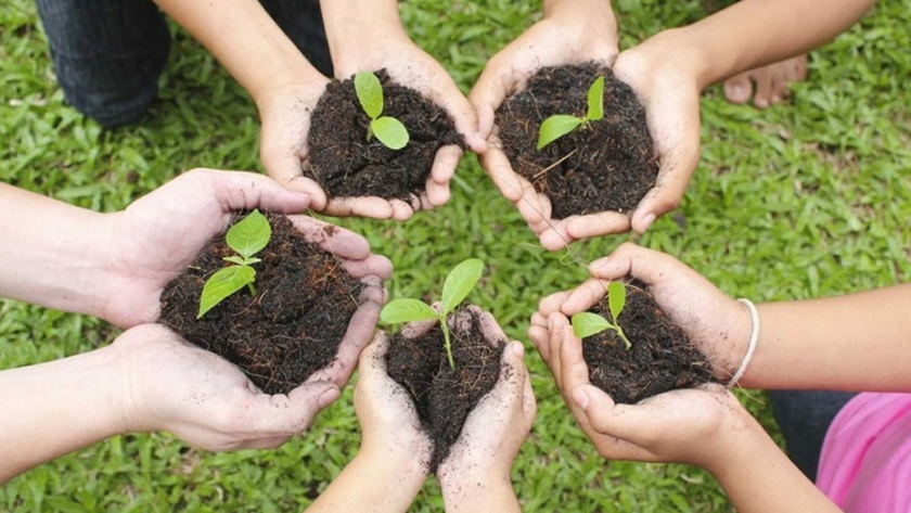 Los jóvenes como promotores ambientales