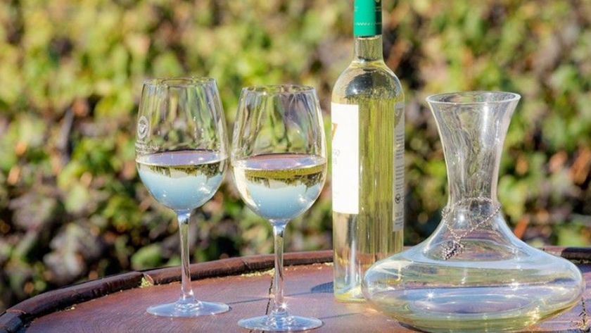 Emprendedores y prestadores turísticos se capacitarán sobre la Ruta del Vino