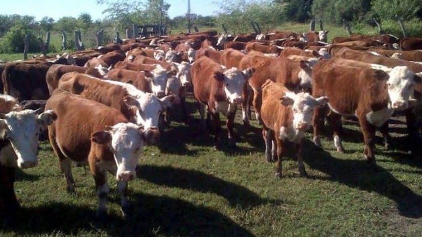 Ganadería habilitó un registro para productores mendocinos con campos fuera de la provincia