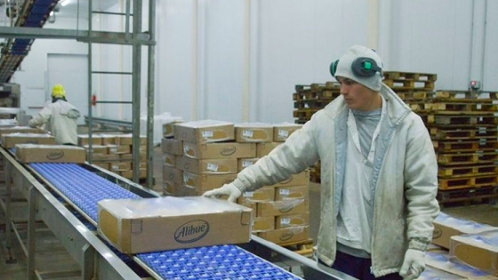 Productores de huevos podrían despedir trabajadores por aumento de costos