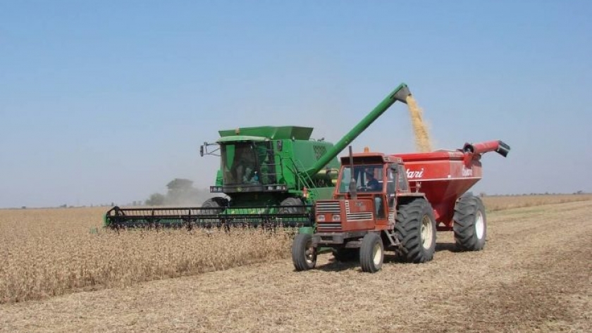 Las exportaciones de la agroindustria cayeron 50% en el año y se perdieron ventas por US$ 17.065 millones por la sequía