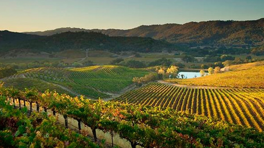 La nueva era de las bodegas en el Valle de Napa 