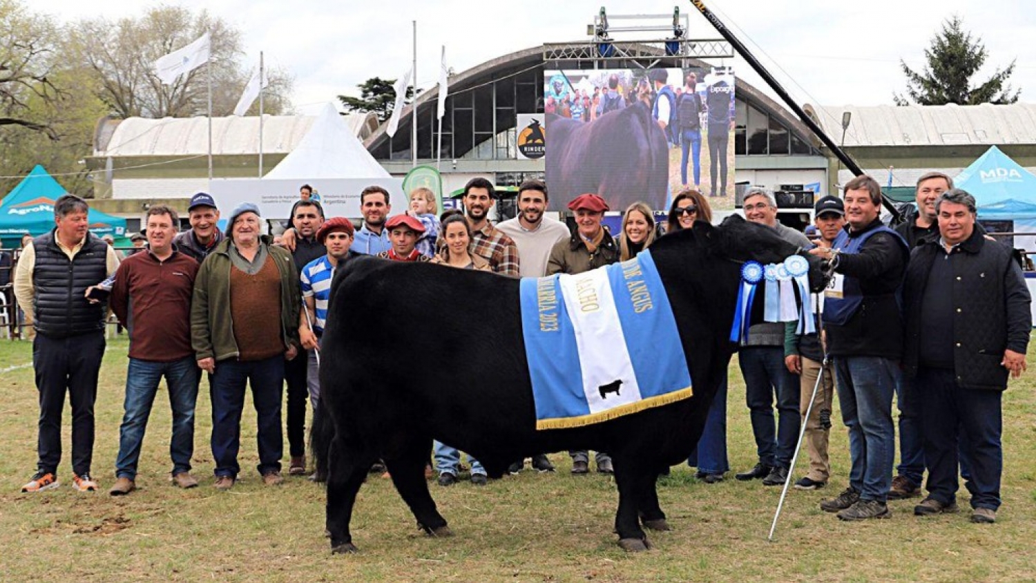 Olavarría reunió 114 reproductores en una nueva edición de su exposición ganadera