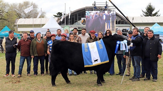 Olavarría reunió 114 reproductores en una nueva edición de su exposición ganadera