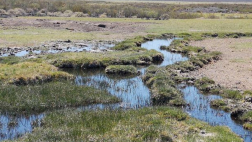 Se conmemora el Día Nacional del Agua