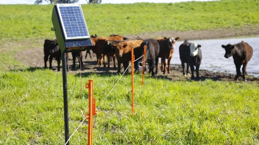 288 productores mendocinos recibirán kits eléctricos para el manejo ganadero