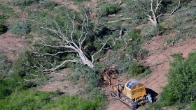 Argentina está entre los 10 países que más destruyen sus bosques